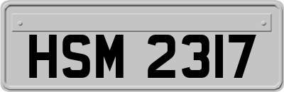 HSM2317