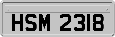 HSM2318