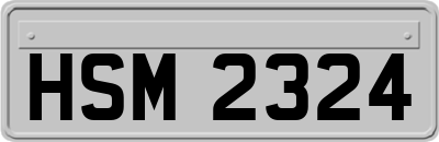 HSM2324