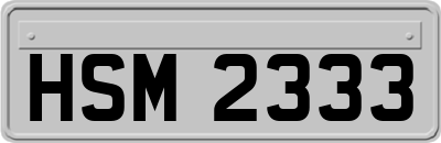 HSM2333