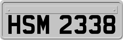 HSM2338