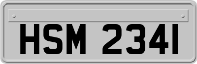 HSM2341