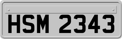 HSM2343