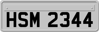 HSM2344