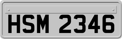 HSM2346