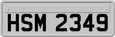 HSM2349