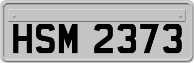 HSM2373