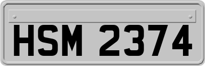 HSM2374