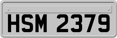 HSM2379