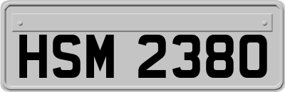 HSM2380