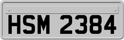 HSM2384