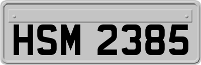 HSM2385