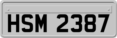 HSM2387