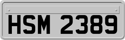 HSM2389