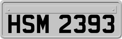 HSM2393