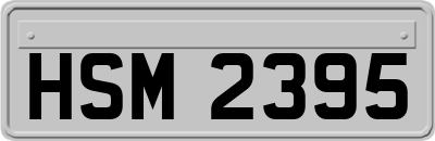 HSM2395