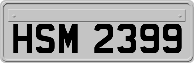 HSM2399