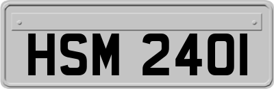 HSM2401