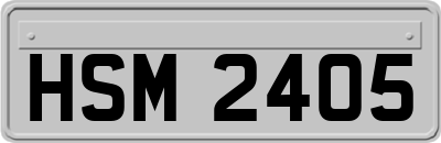 HSM2405