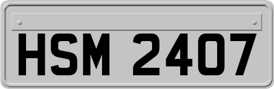 HSM2407