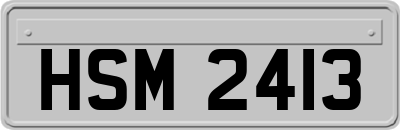 HSM2413
