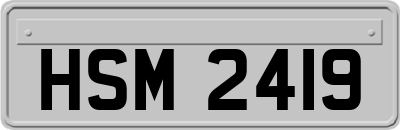 HSM2419