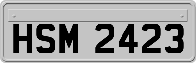 HSM2423