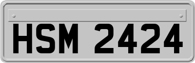 HSM2424