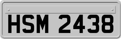 HSM2438