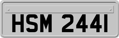 HSM2441