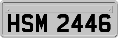 HSM2446