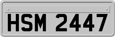 HSM2447