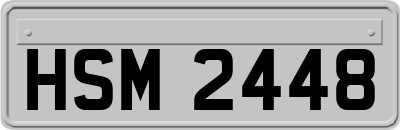 HSM2448