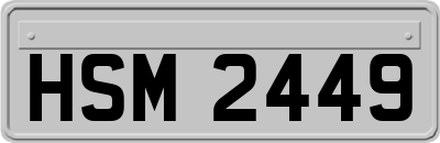HSM2449