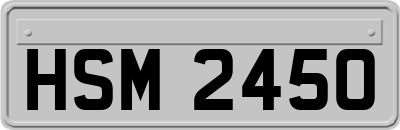 HSM2450