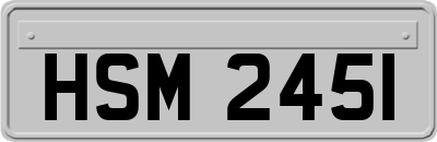 HSM2451