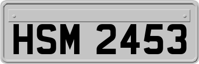 HSM2453