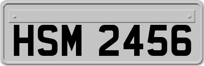 HSM2456