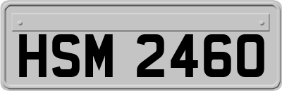HSM2460