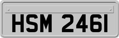 HSM2461