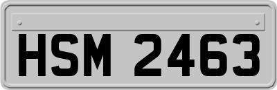 HSM2463