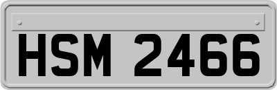 HSM2466