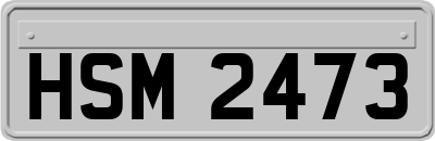HSM2473