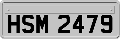 HSM2479
