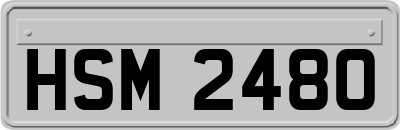 HSM2480