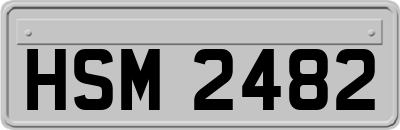 HSM2482
