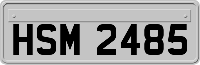 HSM2485