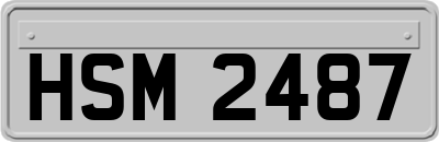 HSM2487
