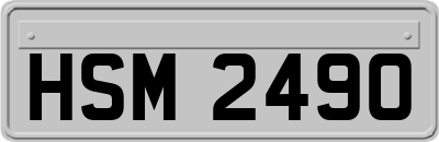 HSM2490