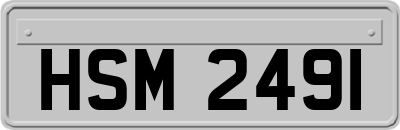 HSM2491